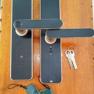 DKey-Pro C91 Golden Smart Lock