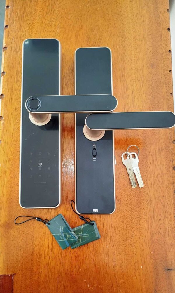 DKey-Pro C91 Golden Smart Lock