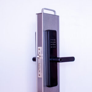 DKey‑Pro C91 Smart Lock
