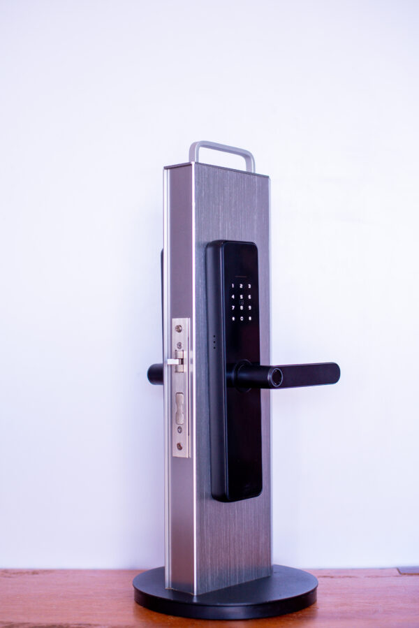 DKey‑Pro C91 Smart Lock