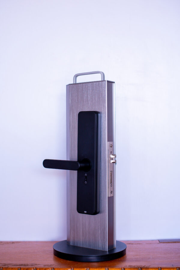 DKey‑Pro C91 Smart Lock