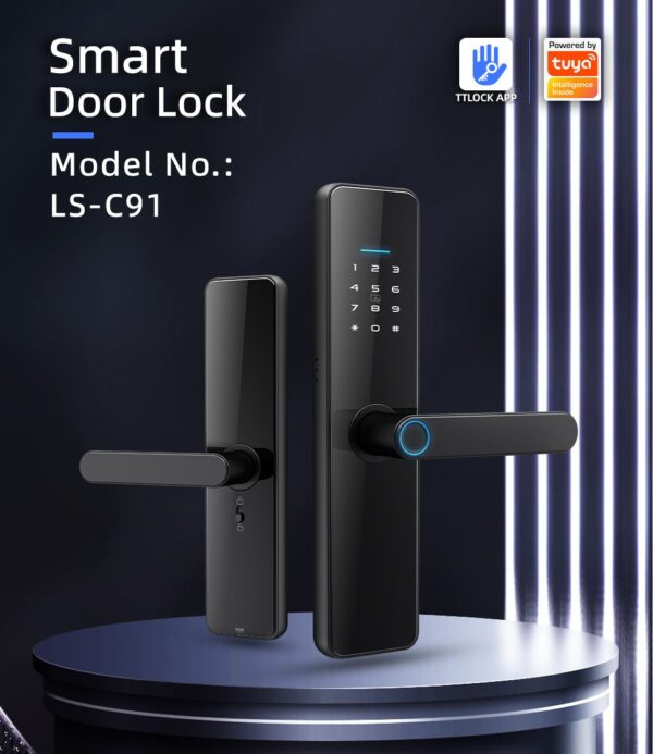 DKey‑Pro C91 Smart Lock